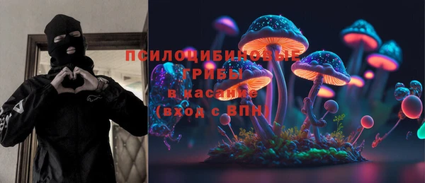 ПСИЛОЦИБИНОВЫЕ ГРИБЫ Михайловск