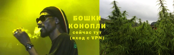 ПСИЛОЦИБИНОВЫЕ ГРИБЫ Михайловск