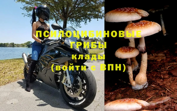 Альфа ПВП Михайловка