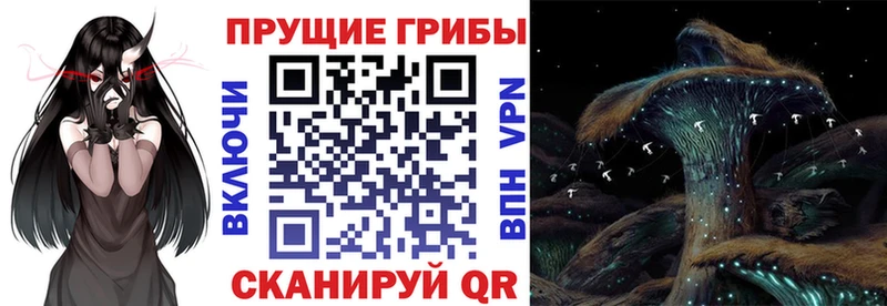 Псилоцибиновые грибы мицелий мега сайт Ирбит как найти наркотики
