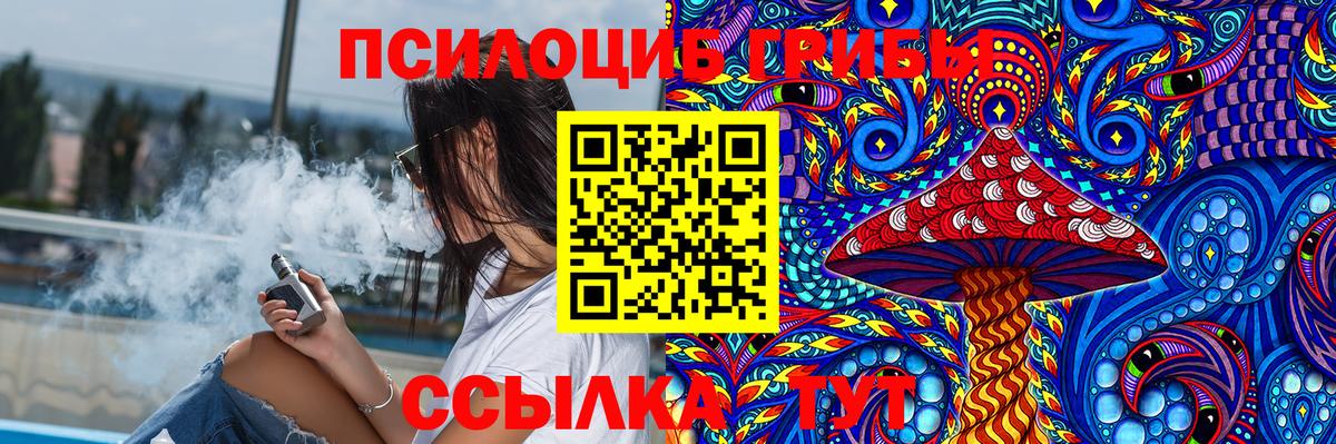 Псилоцибиновые грибы Psilocybe  Вход с VPN  Ирбит 