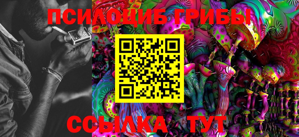 Псилоцибиновые грибы MAGIC MUSHROOMS Ирбит
